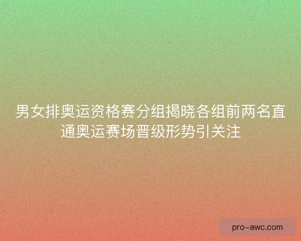男女排奥运资格赛分组揭晓各组前两名直通奥运赛场晋级形势引关注